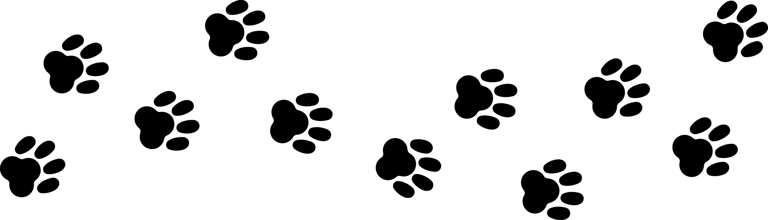 Pattern of dark dog paw prints stepping across a light background